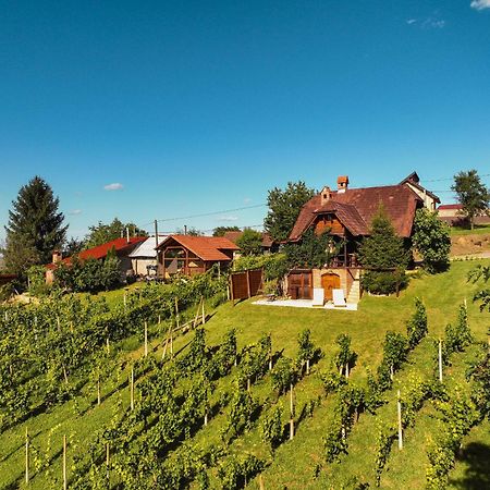 Holiday Home Wine & Relax Sveti Martin Na Muri Gornji Koncovcak Exterior foto