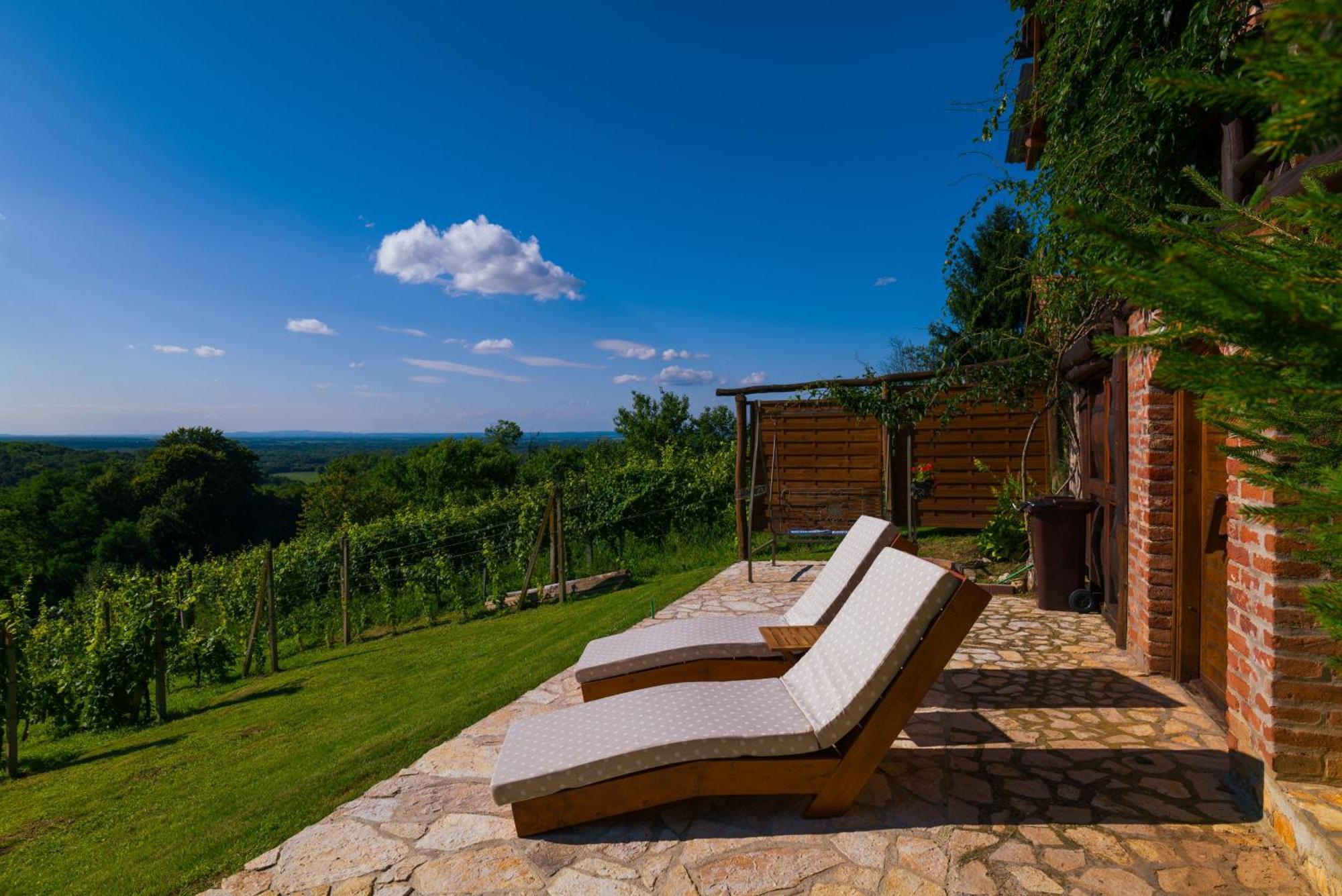 Holiday Home Wine & Relax Sveti Martin Na Muri Gornji Koncovcak Exterior foto