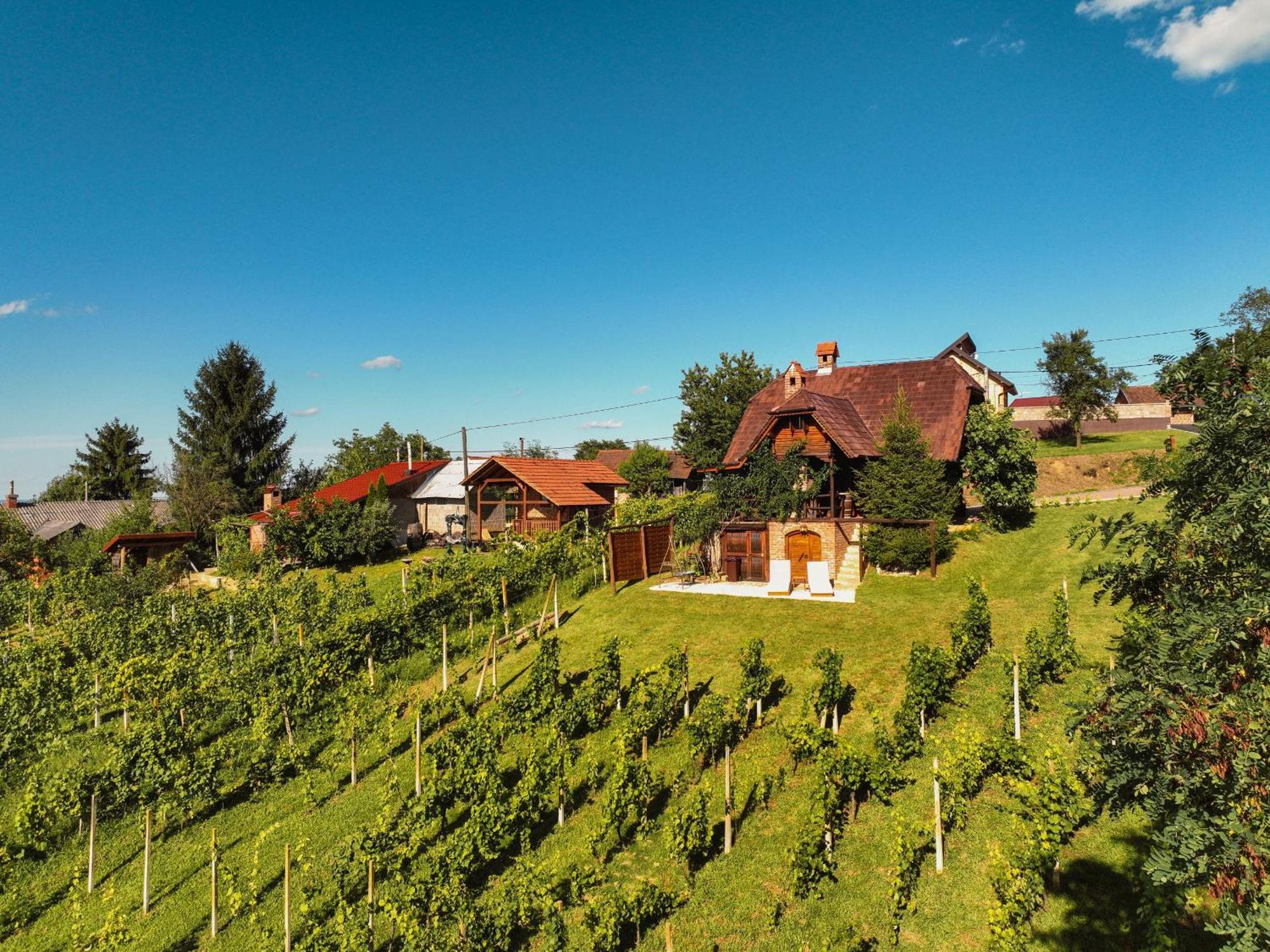 Holiday Home Wine & Relax Sveti Martin Na Muri Gornji Koncovcak Exterior foto